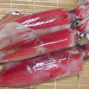 白いか
