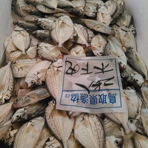 エノハ ヒイラギ