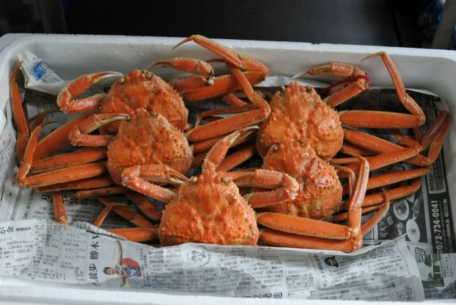 ズワイガニ 松葉ガニ