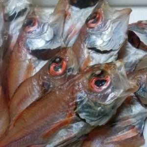 かやの鮮魚店自家製 のどぐろ 一夜干し