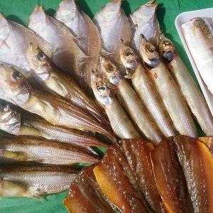 干物5種