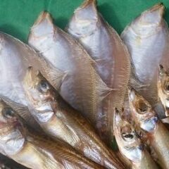 山陰沖・境港産　干物３０００円セット（５種）