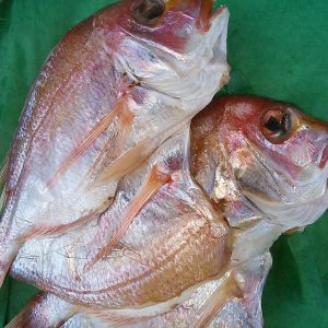 かやの鮮魚店自家製 鯛干物