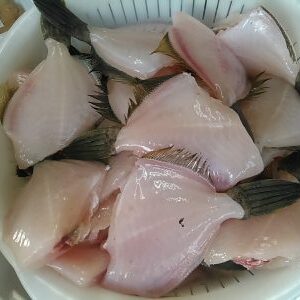 カワハギ、むき身