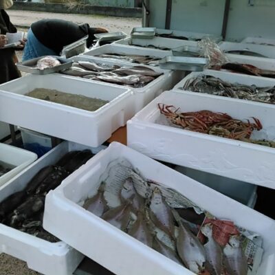 鮮魚の移動販売