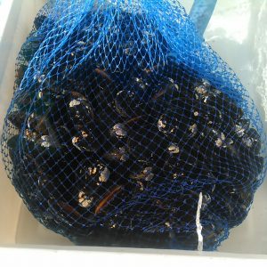 宍道湖産のシジミ