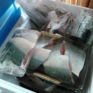 ハマチ切り身