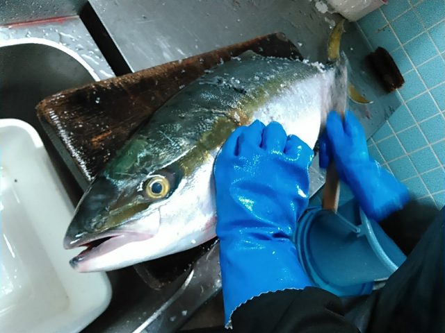 「よか嫁御ぶり」嫁ブリ