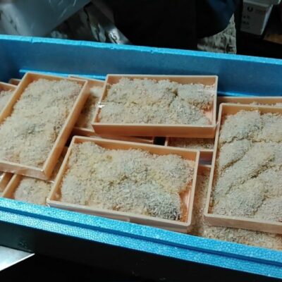 赤魚フライ