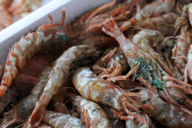 モサエビ、ドロエビ、クロザコエビ