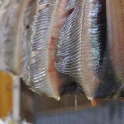 ベランスガレイ一夜干し