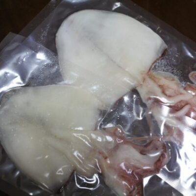 シロイカ スルメ