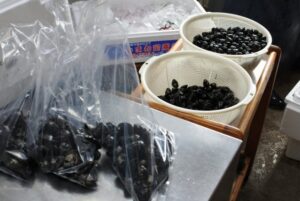 宍道湖産 大和しじみ