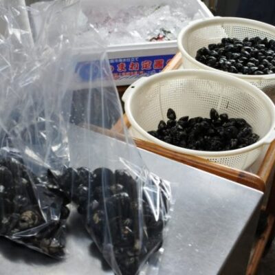 宍道湖産 大和しじみ