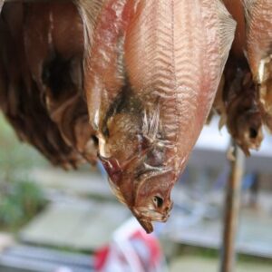 エテカレイ（ ソウハチカレイ ）干物