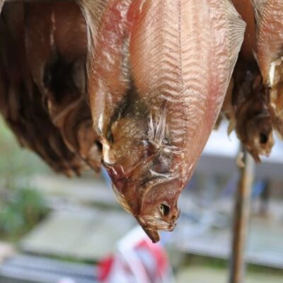 エテカレイ（ ソウハチカレイ ）干物