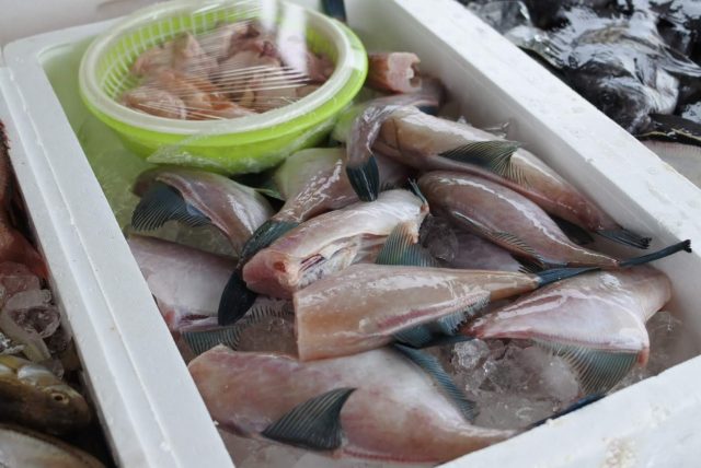 ウマヅラハギ 肝