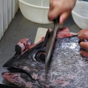 境港産マグロ ツラミ