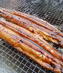 うなぎ蒲焼
