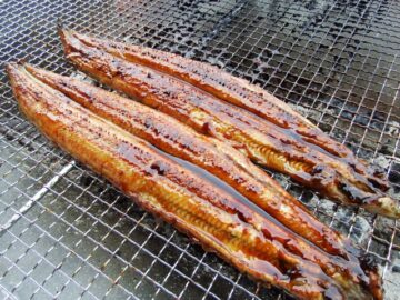 うなぎ蒲焼