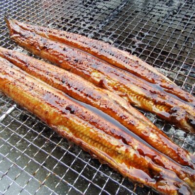 うなぎ蒲焼