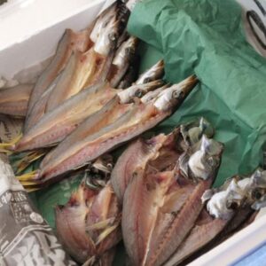 カマス 干物