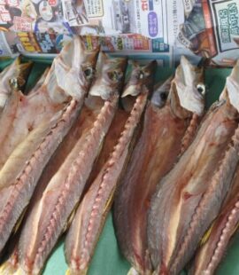 かやの鮮魚店 自家製 カマス干物
