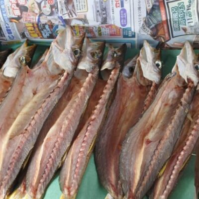 かやの鮮魚店 自家製 カマス干物