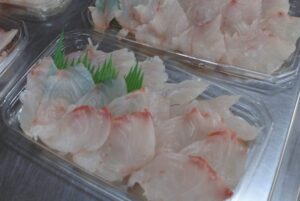 境港産 鯛 刺身