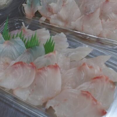 境港産 鯛 刺身