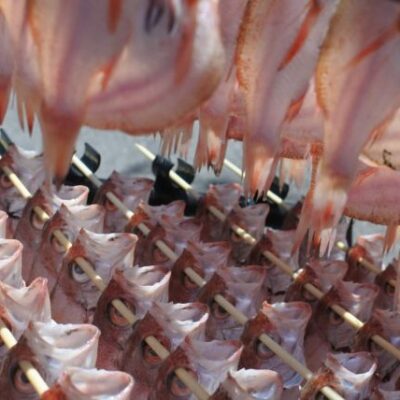 ノドグロ 一夜干し