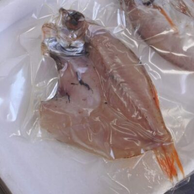 ノドグロ 一夜干し 20cm 1入り