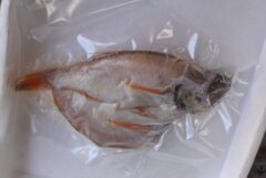 のどぐろ一夜干し 20cm 1入り