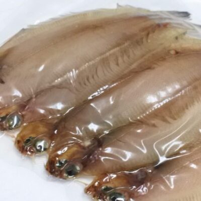 ササカレイ、干物（一夜干し）