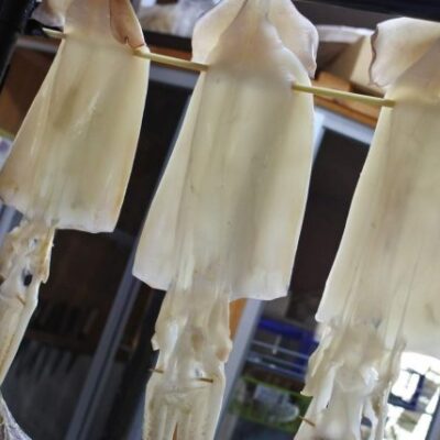 シマメイカ一夜干し