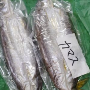 干物、カマスの一夜干し、真空パック