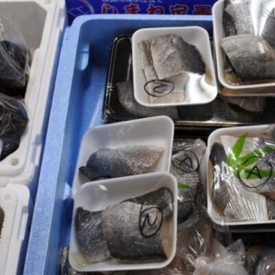 セイゴ スズキ 切り身