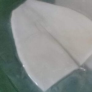 白イカのむき身