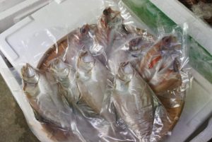 干物、エテカレイの一夜干し