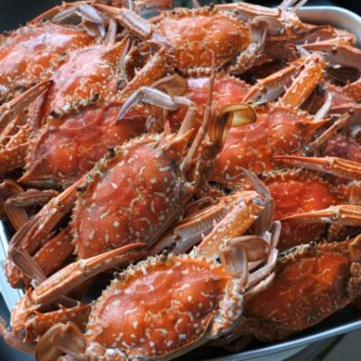 アオデガニ（ボイル済）