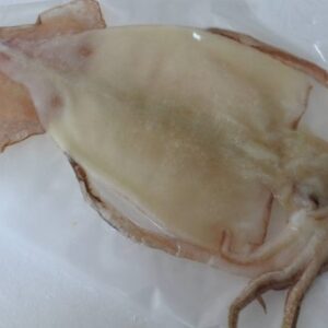 干物、シマメイカ（スルメ）の一夜干し