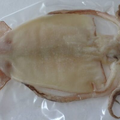 干物、シマメイカ（スルメ）の一夜干し１枚