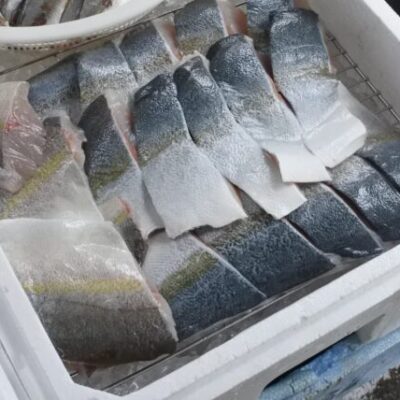 ヒラマサの切り身