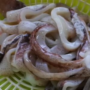 シマメイカの切り身