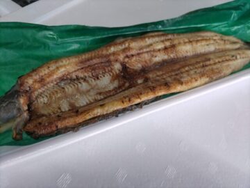 国産うなぎ 白焼き