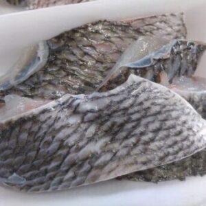 チヌ　クロダイ