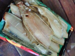 ササカレイ　頭なし