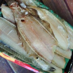 ササカレイ　頭なし