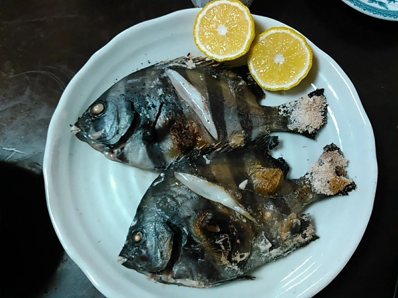 ダンダラ 石鯛 の塩焼き 煮付けが美味 境港鮮魚通販 かやの鮮魚 ダンダラ 石鯛 の塩焼き 煮付けが美味 境港鮮魚通販 かやの鮮魚