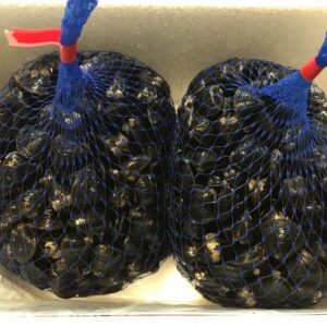 宍道湖産ヤマトシジミ